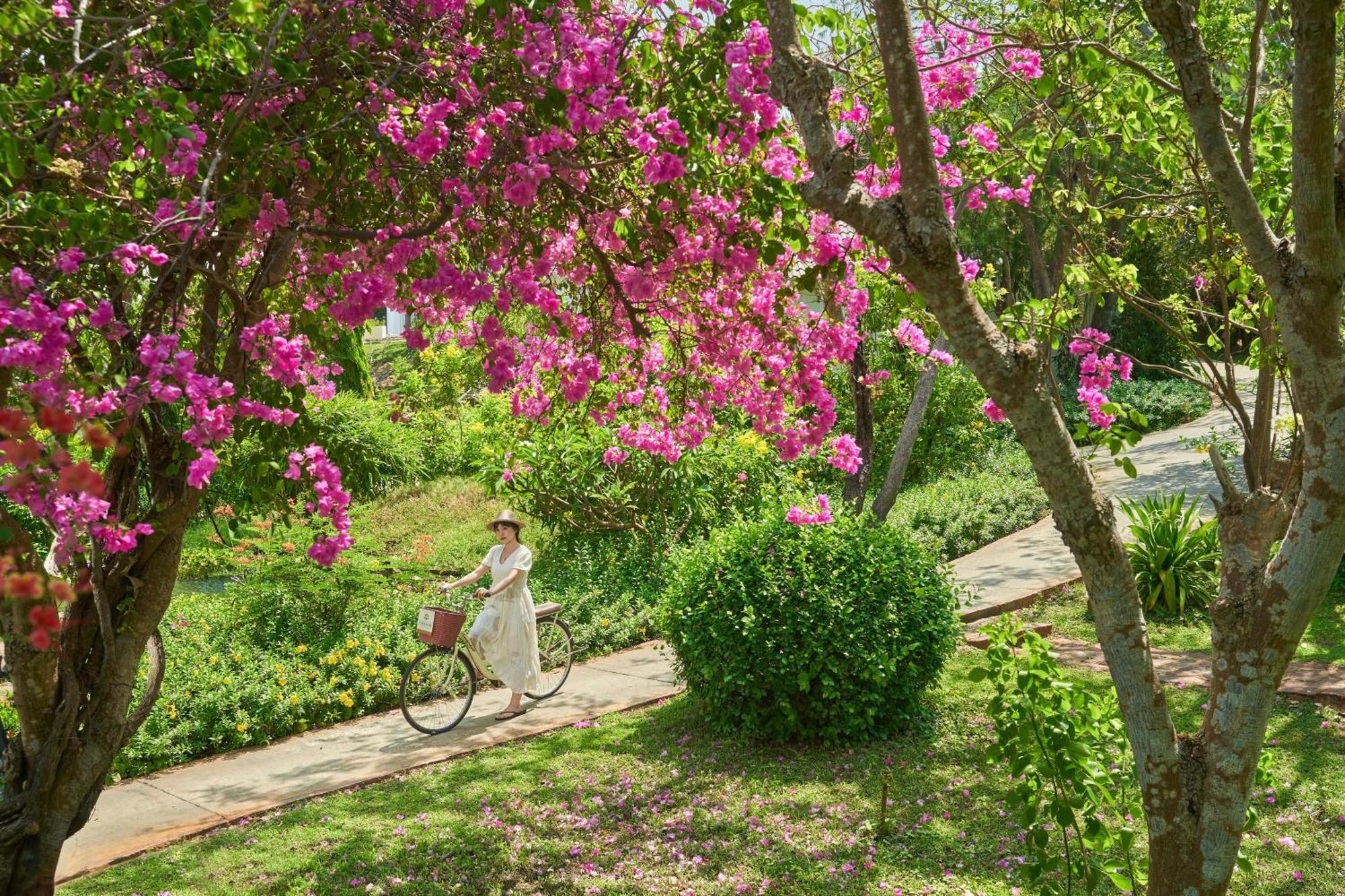 Fleur De Lys Resort & Spa Long Hai Eksteriør billede